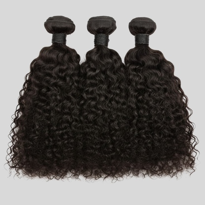 The Untamed Edit | Raw Burmese Curly